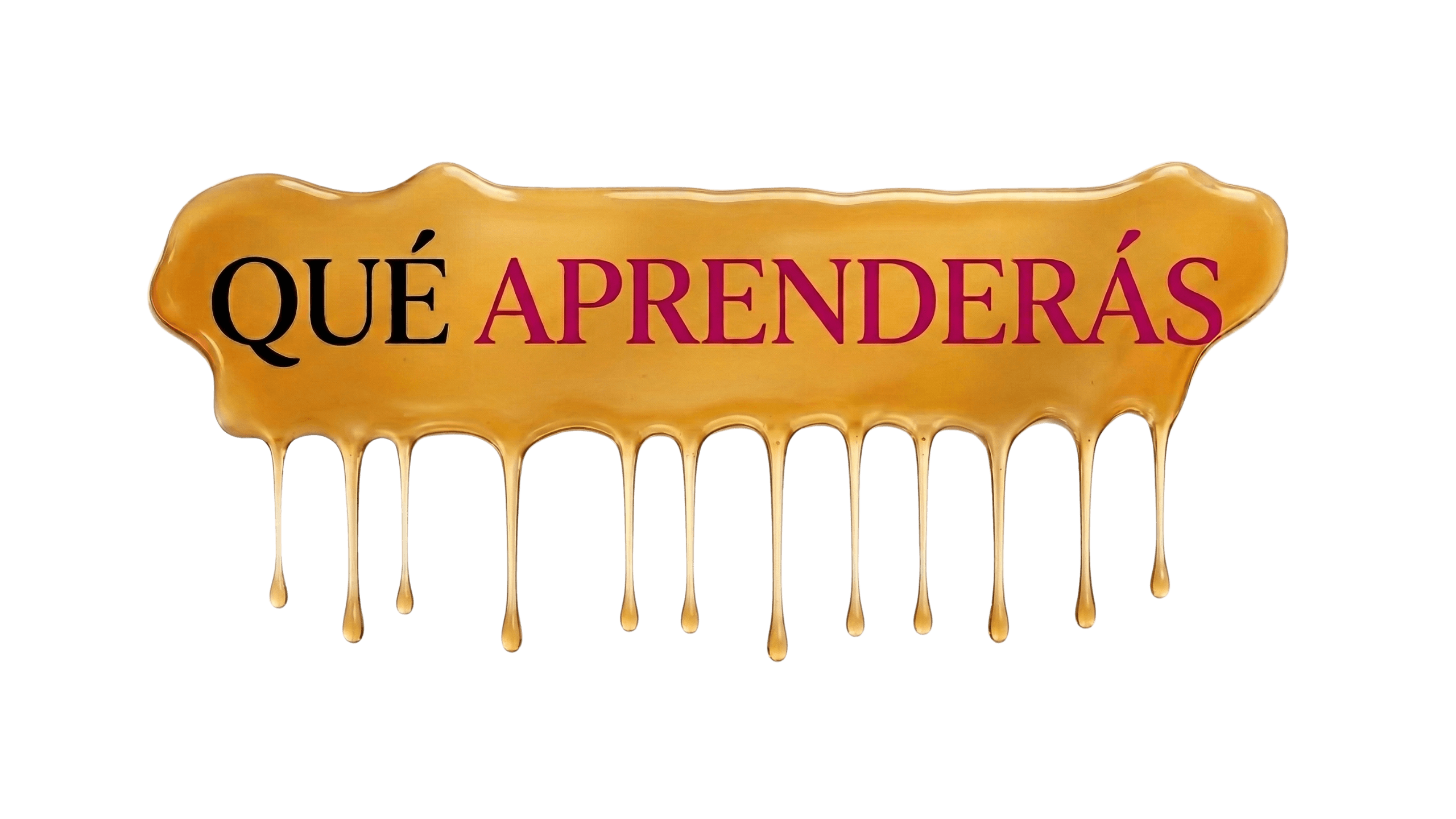 ¿Qué aprenderás?
